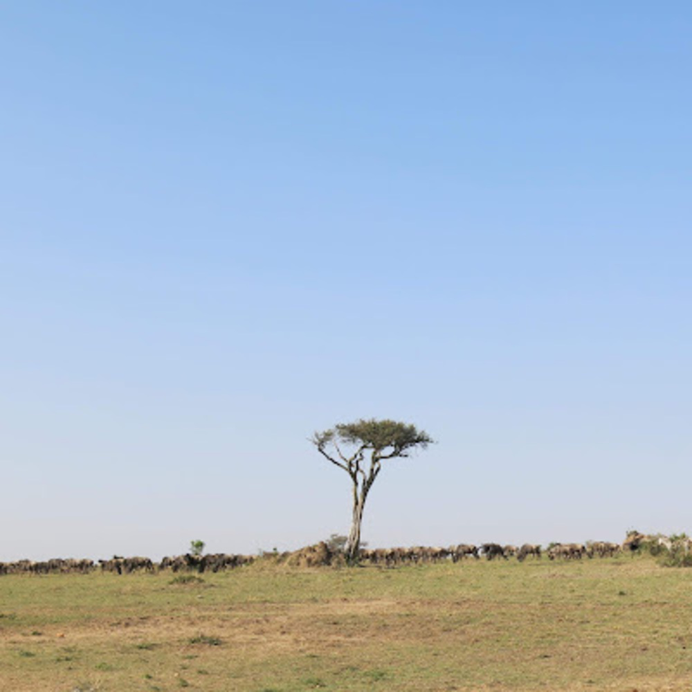 Meet your Posher, Derek